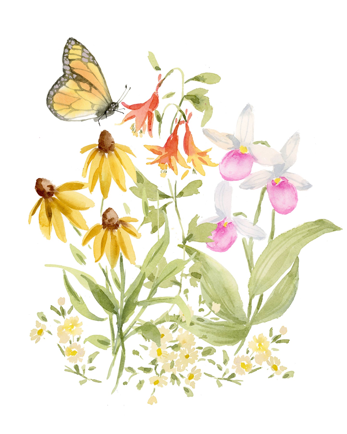 Minnesota Wildflowers-Print