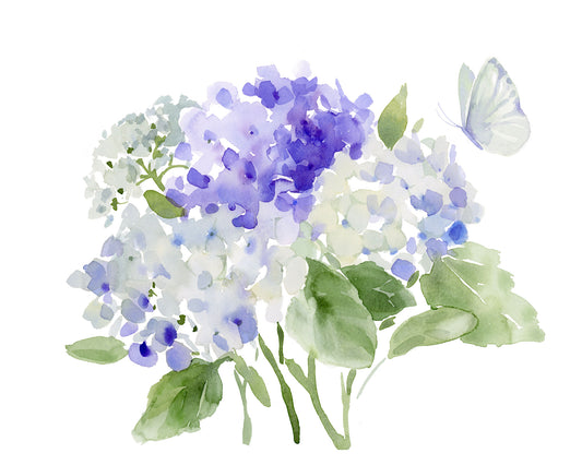 Butterfly Blue Hydrangea-Print