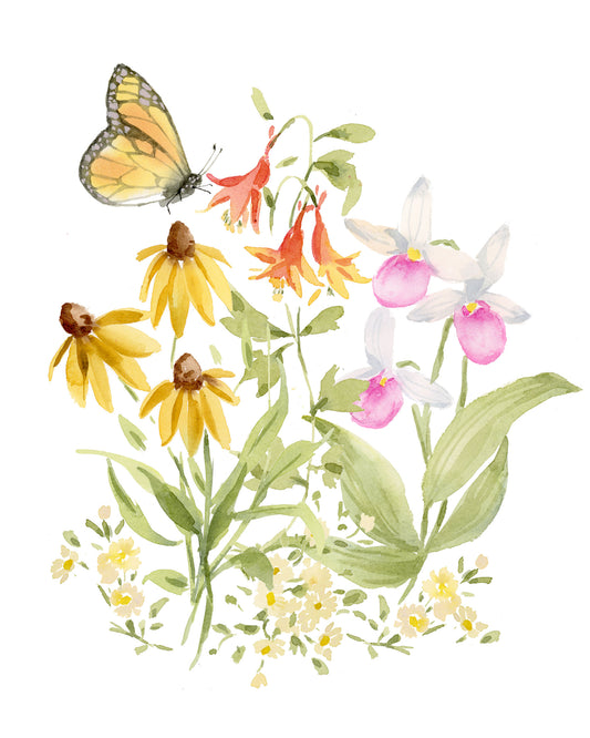 Minnesota Wildflowers-Print