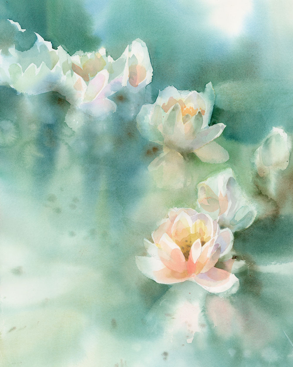 Water Lilies No.2 - Print