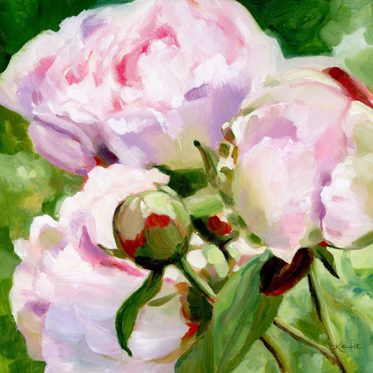 Blushing Peonies-Print